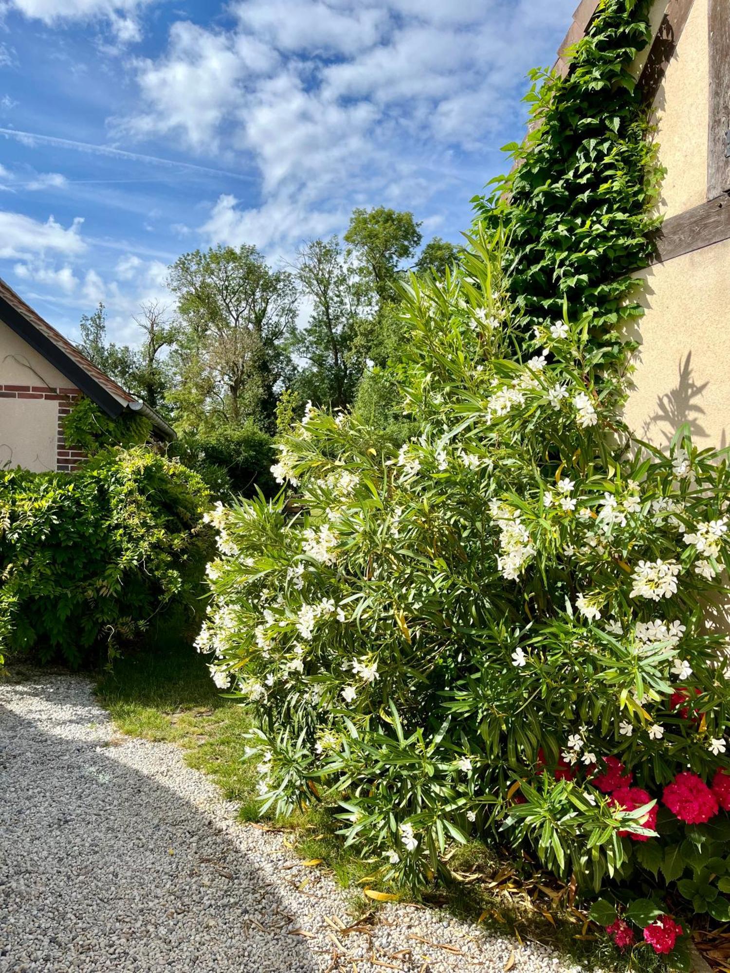 Cote Riviere Leilighet Ezy-sur-Eure Eksteriør bilde